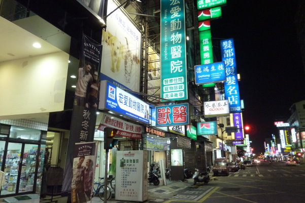 台南 東區 宏愛動物醫院 喵爸的部落格 痞客邦