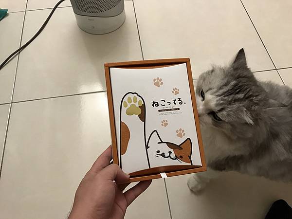 nEO_IMG_IMG_9700.jpg nEO_IMG_IMG_9700.jpg