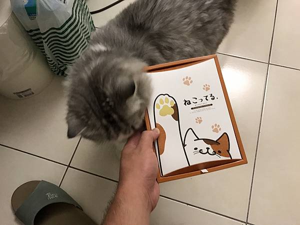 nEO_IMG_IMG_9698.jpg nEO_IMG_IMG_9698.jpg