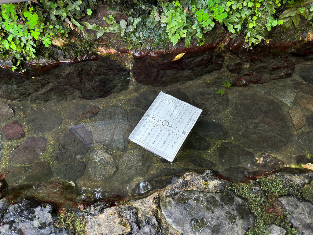 [日本.京都] 貴船神社(きふねじんじゃ).楓葉燈籠點燈、川