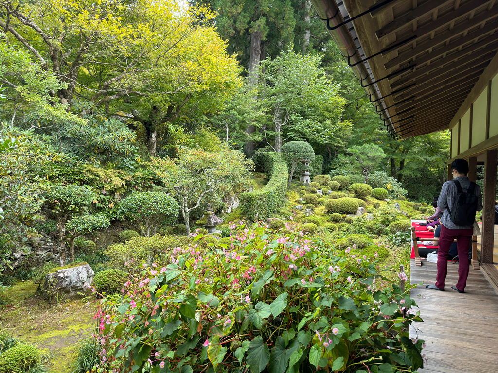 [日本.京都] 京都大原三千院 (さんぜんいん).令人難忘的