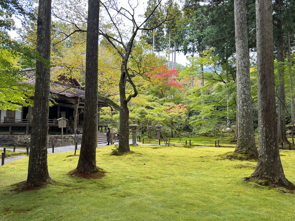 [日本.京都] 京都大原三千院 (さんぜんいん).令人難忘的