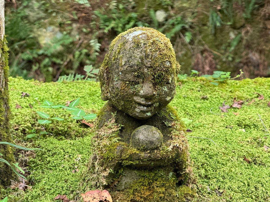 [日本.京都] 京都大原三千院 (さんぜんいん).令人難忘的