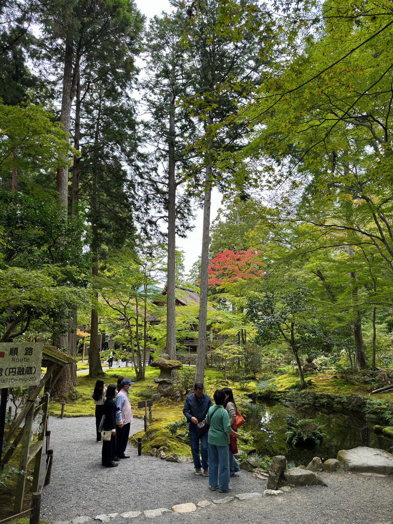 [日本.京都] 京都大原三千院 (さんぜんいん).令人難忘的