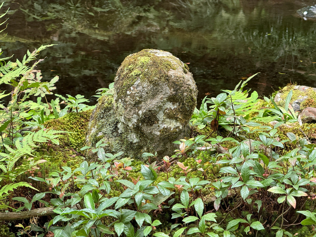 [日本.京都] 京都大原三千院 (さんぜんいん).令人難忘的