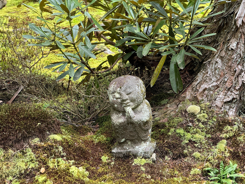 [日本.京都] 京都大原三千院 (さんぜんいん).令人難忘的