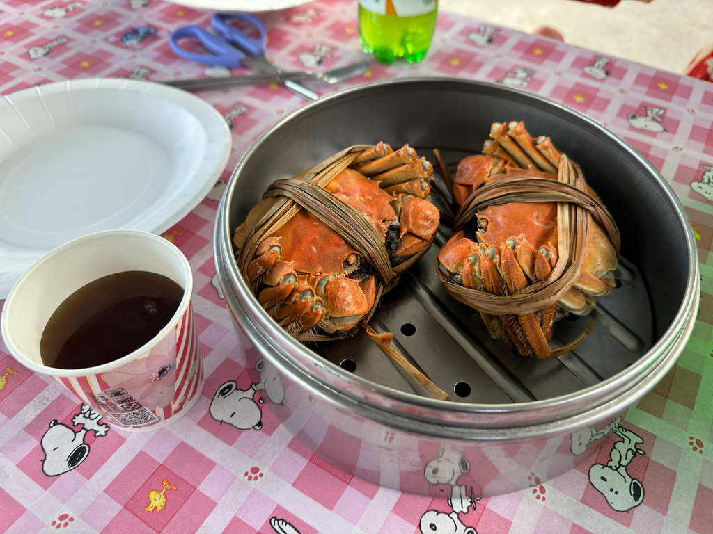 [苗栗.南庄] 南庄田美大閘蟹.膏滿黃肥的本土大閘蟹