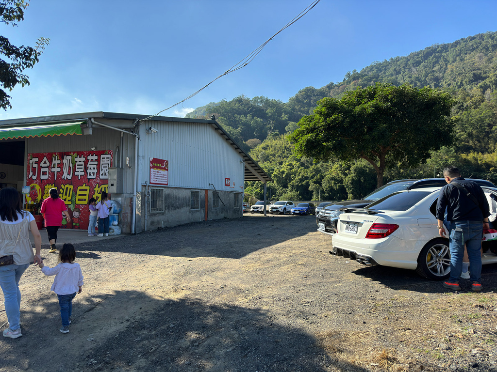 [苗栗.大湖] 大湖巧合草莓園.空氣裡都是草莓的味道