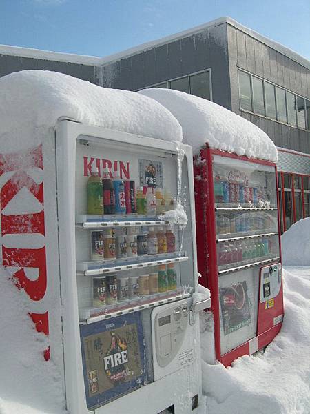 天然冷凍庫