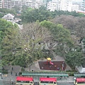 正對面即是個公園