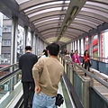 向上