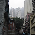 都市叢林
