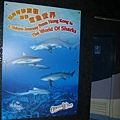SHARK