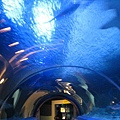 tunnel