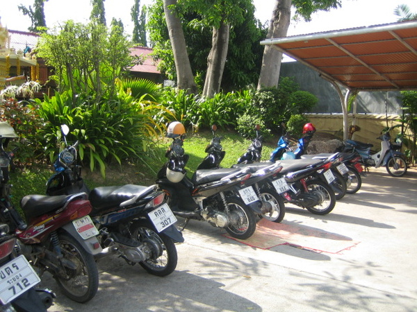 motor bikes