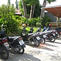 motor bikes