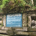 monkey forest