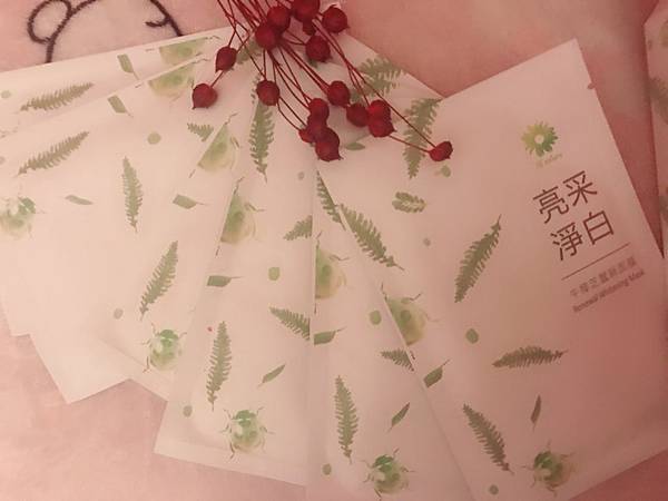 綠色森林面膜_180410_0007.jpg 試用