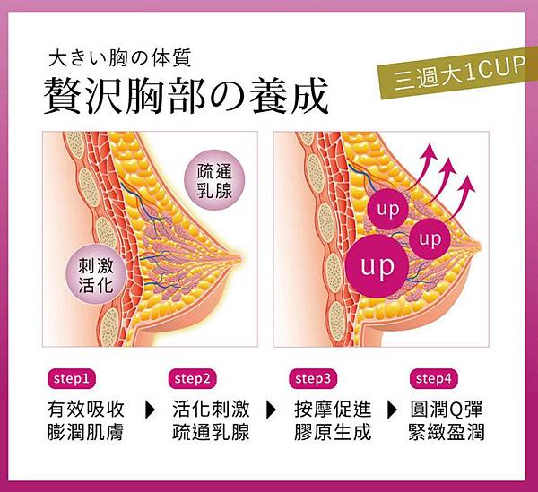 女人知己試用大隊,ibo-up愛波革命-大波丸,美胸,營養補充,膨潤有彈性
