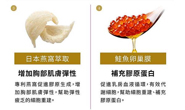 女人知己試用大隊,ibo-up愛波革命-大波丸,美胸,營養補充,膨潤有彈性