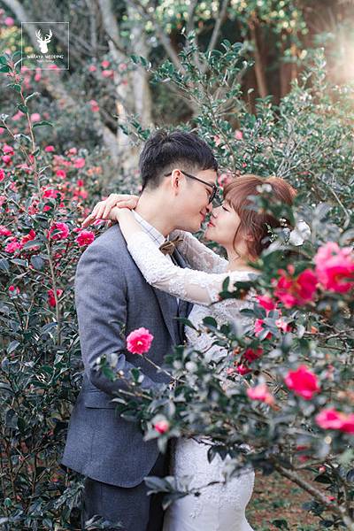 @0410 Zack 芸 (1).jpg 春天花季婚照