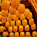北燈區41.jpg