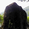 庭院9.JPG