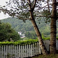 庭院18.JPG