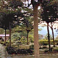 庭院25.JPG