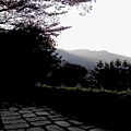 黃昏剪影1.JPG