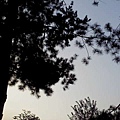 黃昏剪影6.JPG