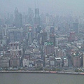 上海8