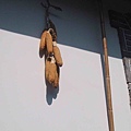 黍