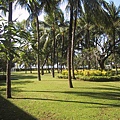 巴厘島1