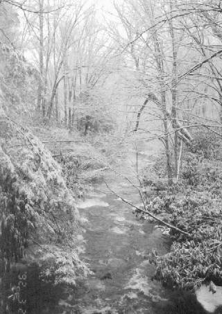 Smoky Mountain1