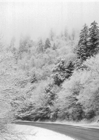 Smoky Mountain2