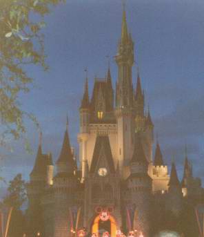 佛州Disney夜景