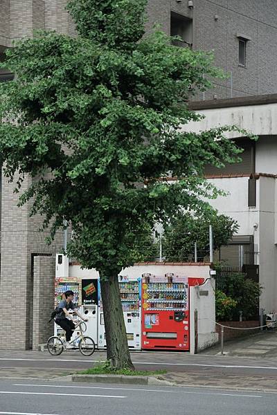 京都祇園祭行19.jpg