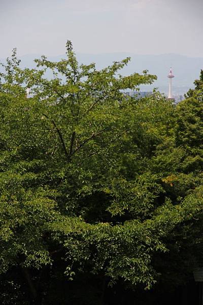 京都祇園祭行48.jpg