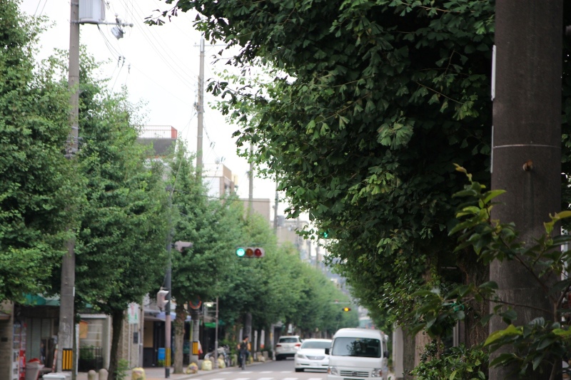 京都祇園祭行167