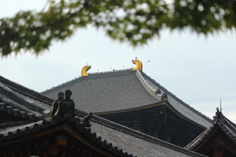 京都祇園祭行278