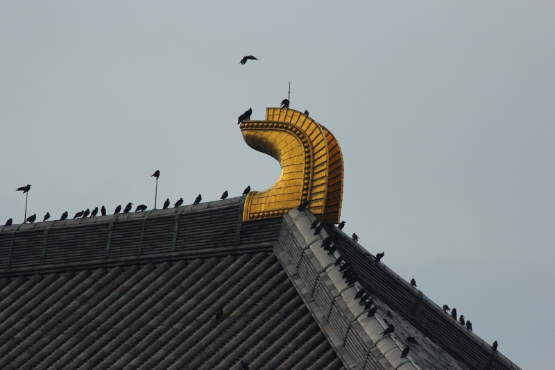 京都祇園祭行279