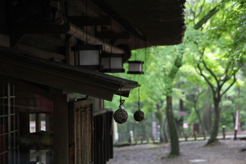 京都祇園祭行286