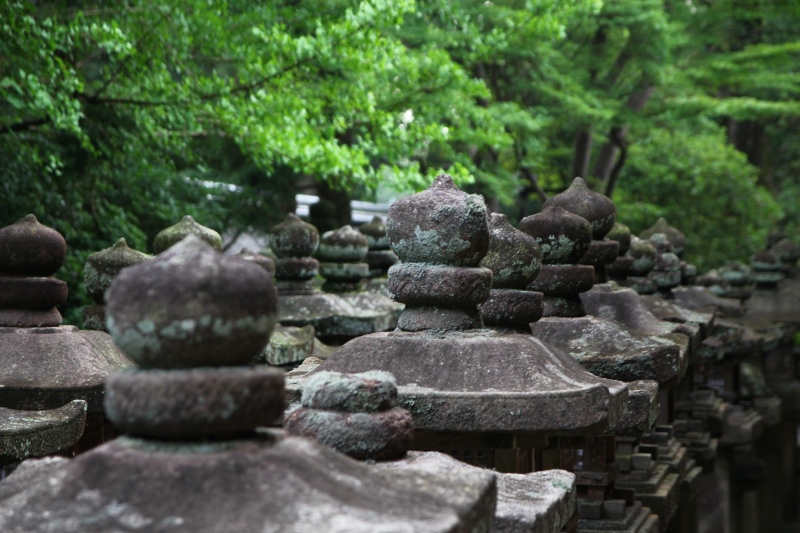 京都祇園祭行296