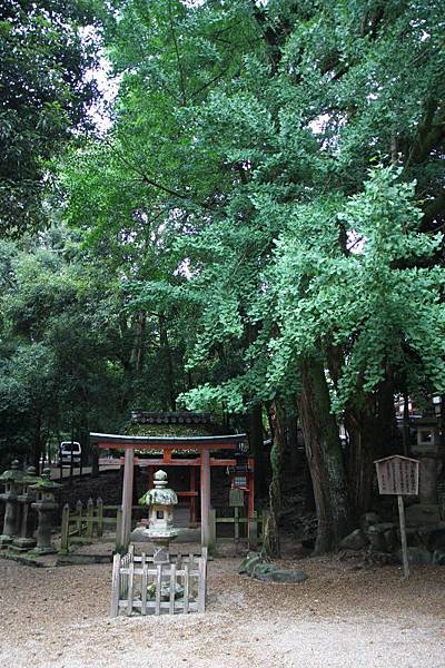 京都祇園祭行298