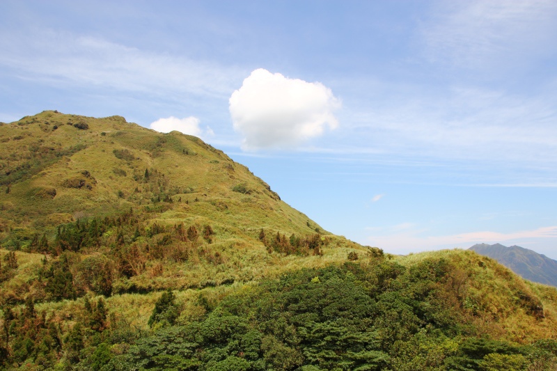 陽明山夢幻湖09.jpg