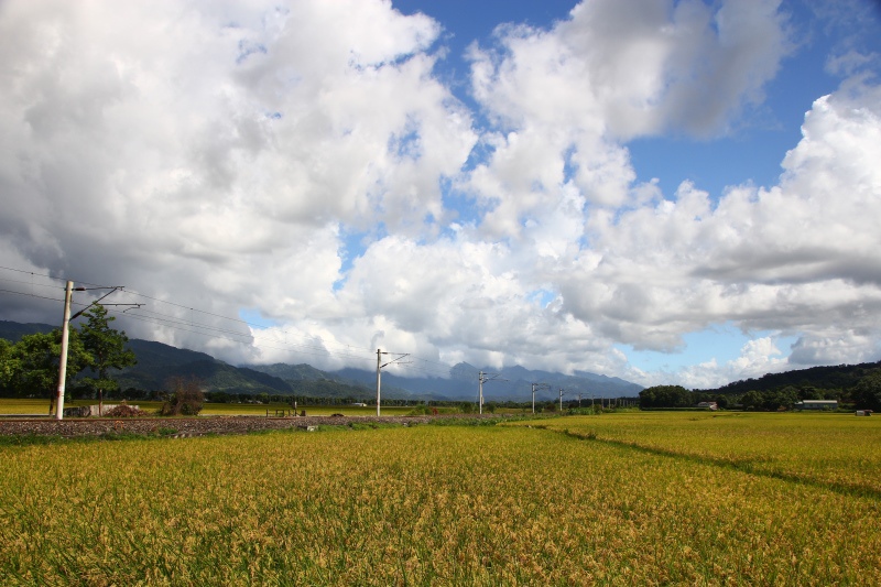 南花蓮夏日文旅64