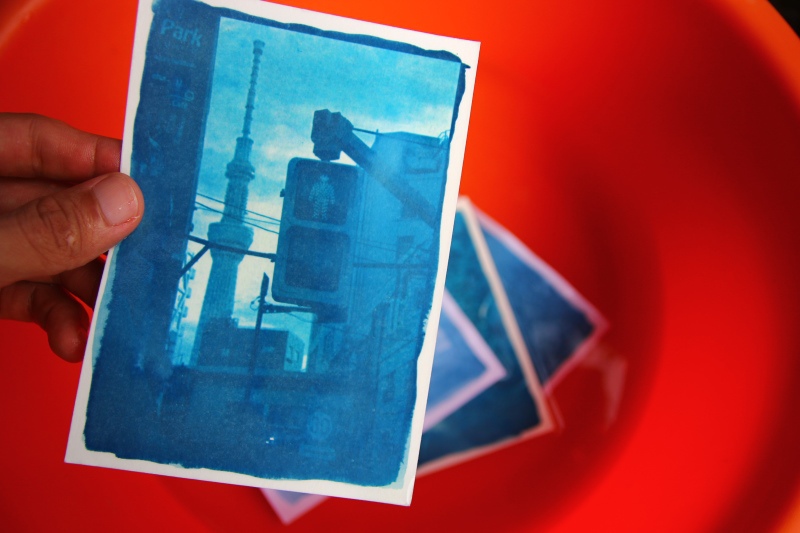 日光印刷術06.jpg 日光印刷術06.jpg