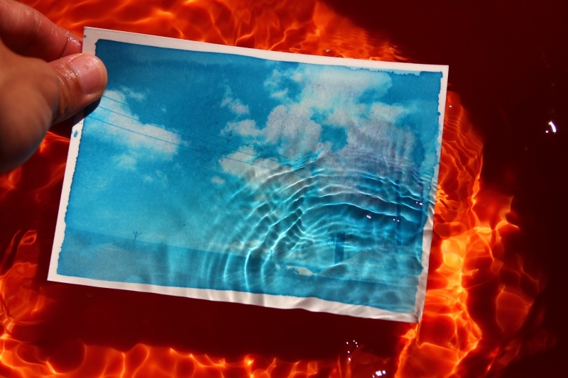 日光印刷術11.jpg 日光印刷術11.jpg