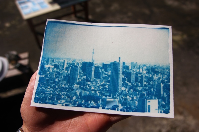 日光印刷術12.jpg 日光印刷術12.jpg